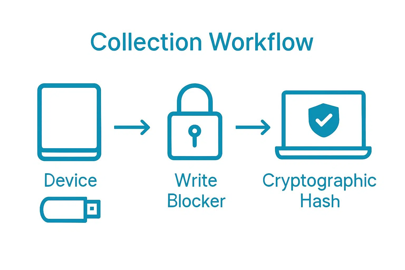 Essential Digital Evidence Preservation Methods for 2025 1 Infographic of secure evidence collection workflow