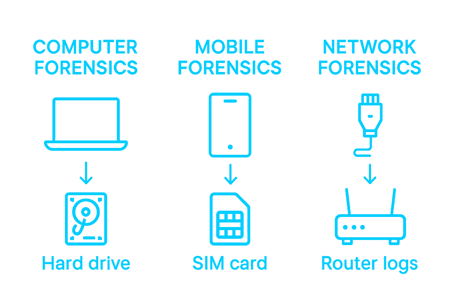 Role of Forensic Consultants – Impact on Legal Outcomes 2 Infographic comparing types of forensic consultancy